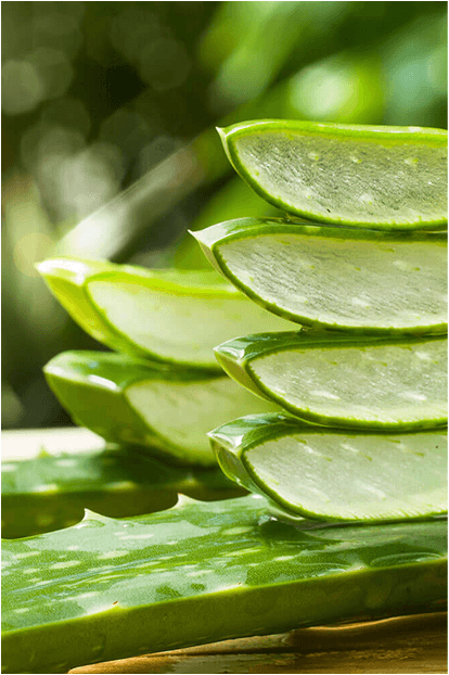 ALOE VERA PRODUCTS - Pure & Natural